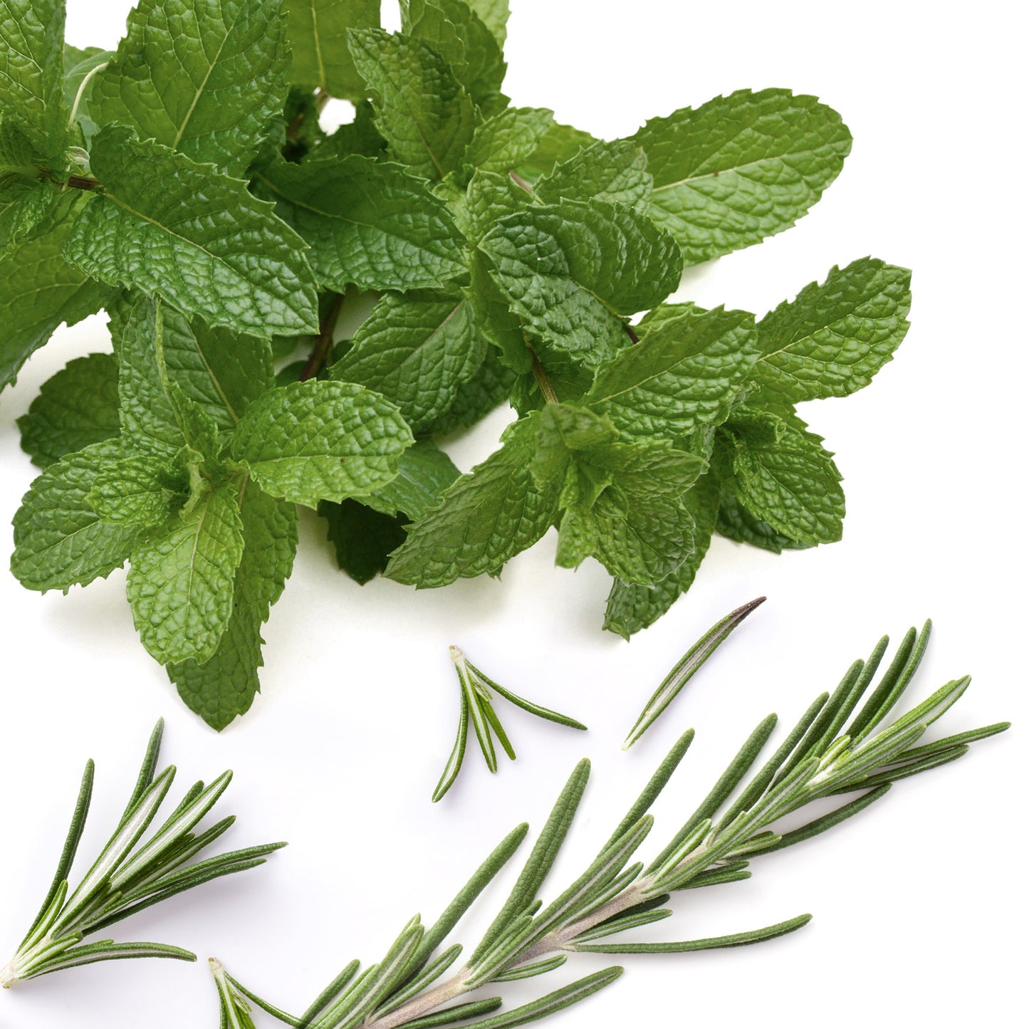 Shampoo Control Caspa Blum