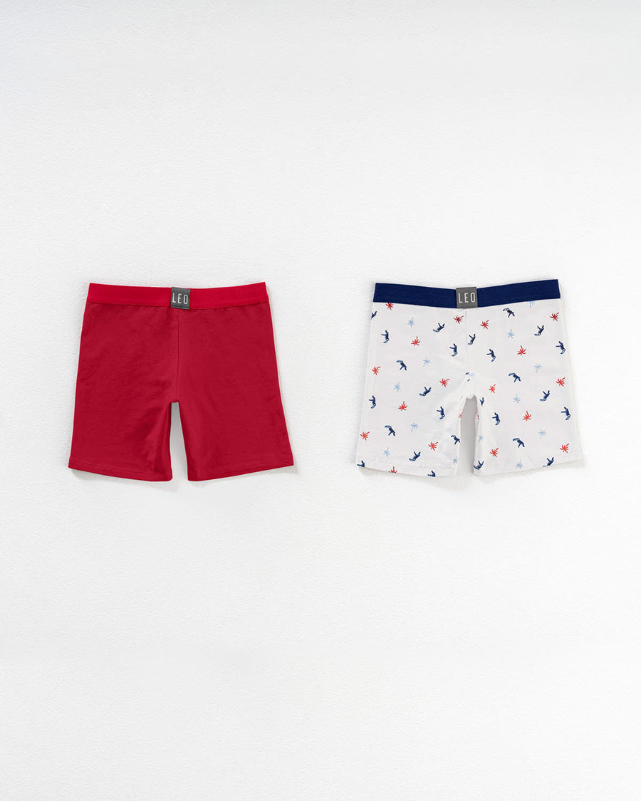 Paquete x 2 bóxer largo en algodón para niño
